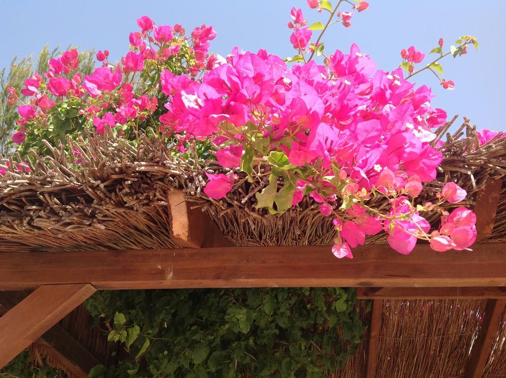 Finca Klara, Boutiquehotel - Apartment -Javea-Moraira- Benitachell Exterior foto
